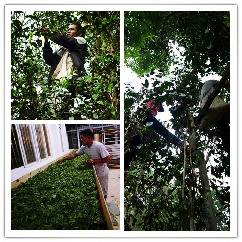 initpintu_副本.jpg initpintu_副本.jpg