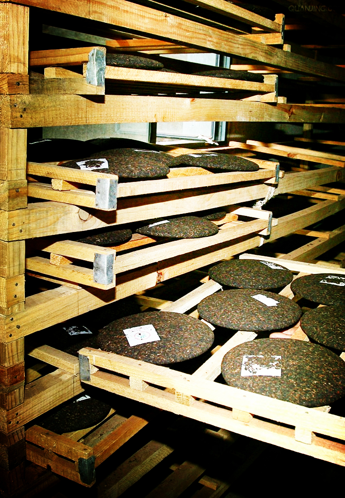 dlrm-0375.jpg dlrm-0375.jpg