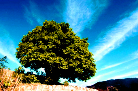 14569975524700986.jpg 14569975524700986.jpg