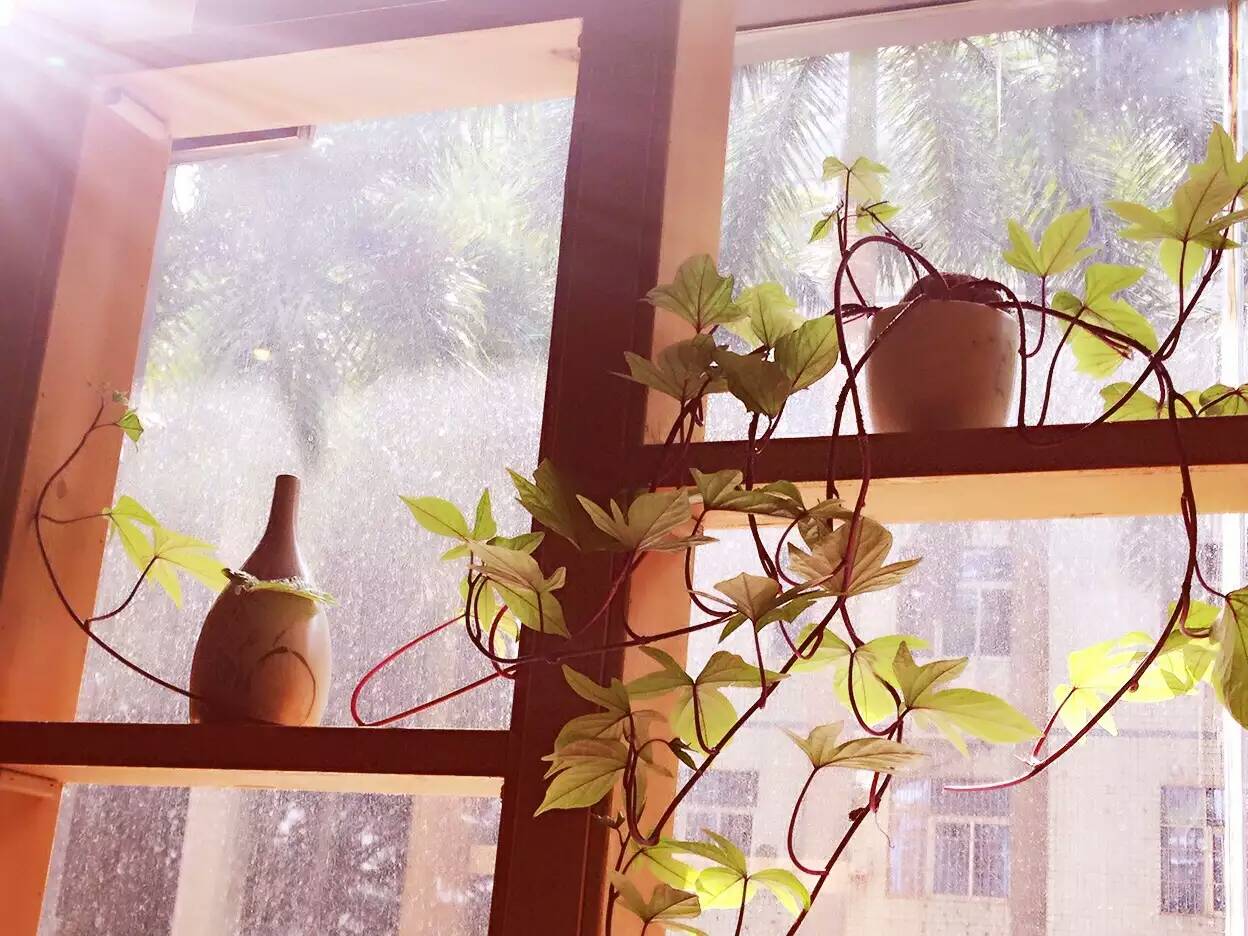 14569981871534314.jpg 14569981871534314.jpg