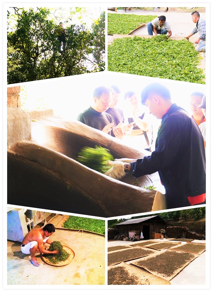 initpintu_副本.jpg initpintu_副本.jpg